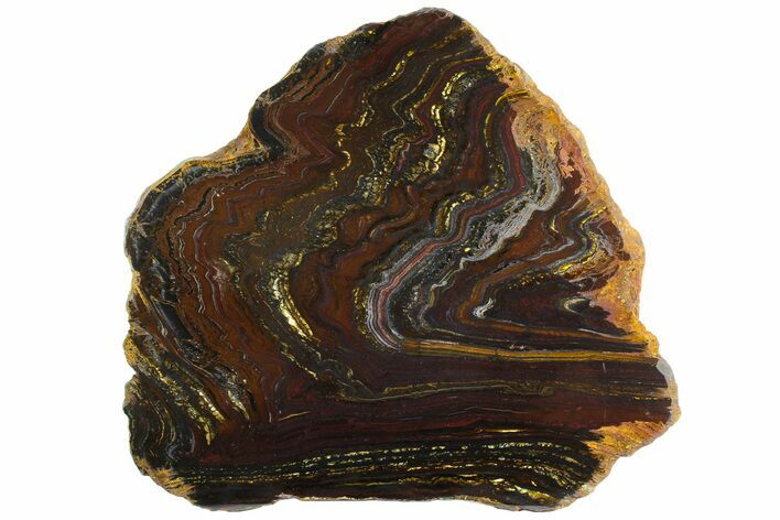 Polished Tiger Iron Stromatolite Slab - Billion Years #163111